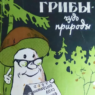 Стикер «В ЛЕСАХ» @vlesah - 4