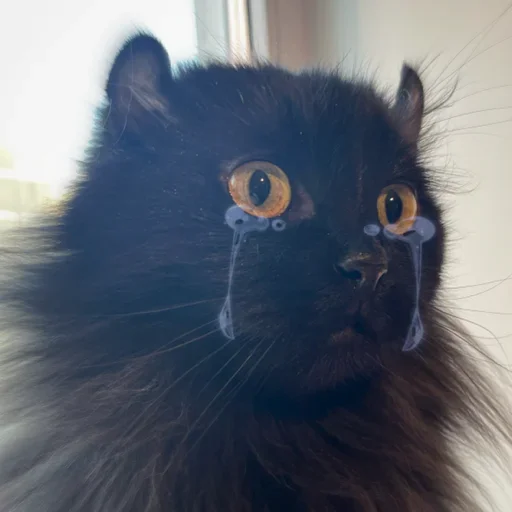 Стикер vlocbondzu_by_e4zybot - 1