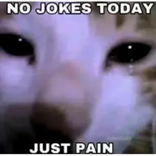 Sticker Уставшие котики • @TgStickery - 4