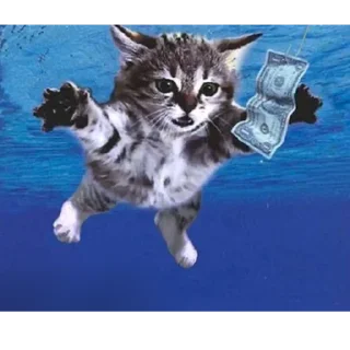 Sticker Уставшие котики • @TgStickery - 9