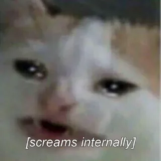 Sticker Уставшие котики • @TgStickery - 8