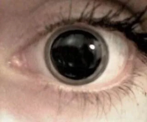 Sticker vnBspSJ_by_achestickbot - 1