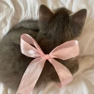 Sticker Больше стиков тут: @stikery4 - 8