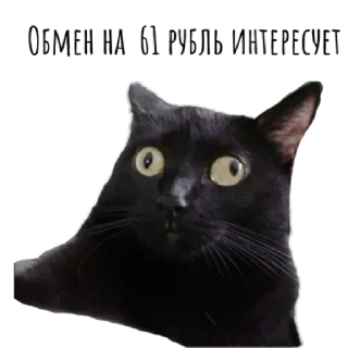 Sticker Жиза by @stqrapp - 0