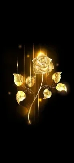 Sticker Vnesistem2 - 3