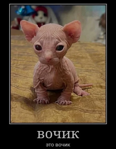 игрушка животное фигура животного