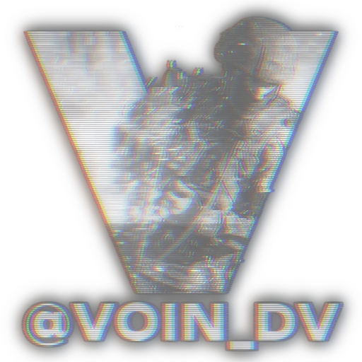 @voin_dv - 