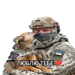 Стикер Military memes - 7