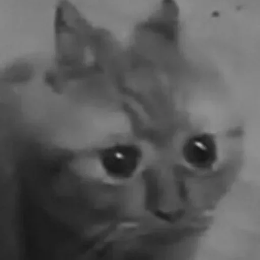 Sticker vojdzstickers - 1