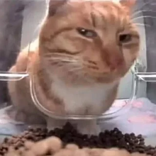 Sticker стикерпак "продуманный" by @vojdz - 7