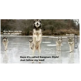 Стикер волчки - 3