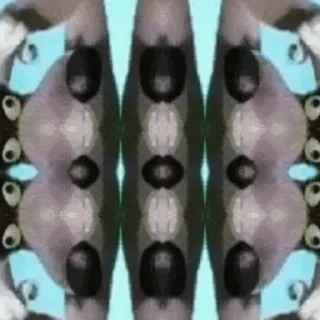 Sticker волк - 5