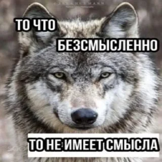 Стикер БЕЗУМНО МОЖНО БЫТЬ ВОЛКОМ - 5