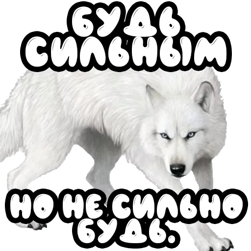 Стикер Волки @stickernayaa - 9