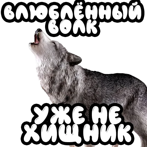 Стикер Волки @stickernayaa - 5