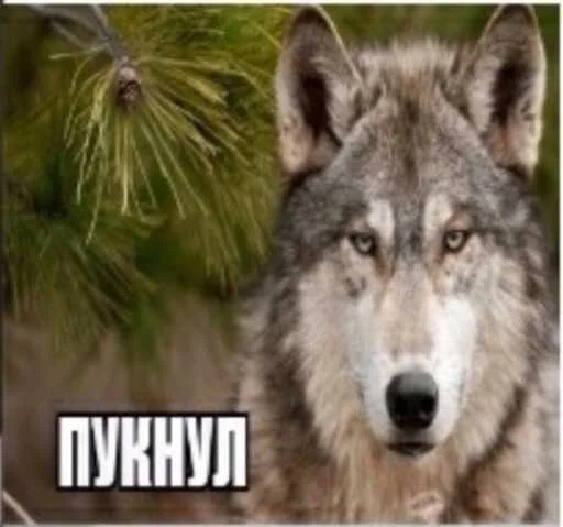 Sticker старое доброе) - 2