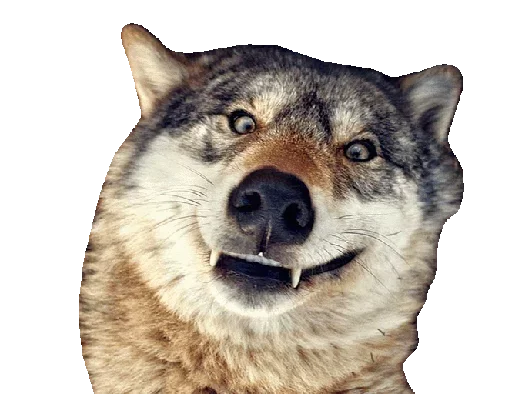 Стикер volshiyPack - 1