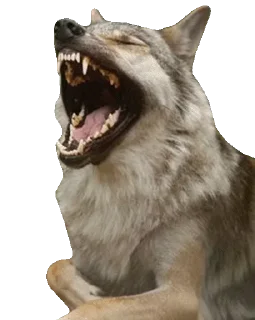 Sticker Волчий Пак @stickerus - 9