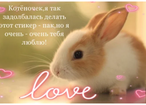 Тебе🥺❤️ - аниме