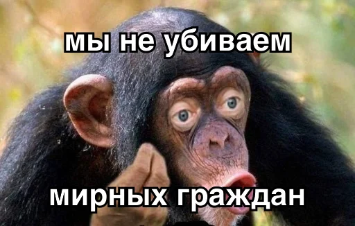 животное млекопитающее примат