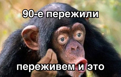 животное млекопитающее примат