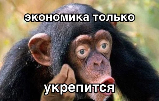 животное млекопитающее примат