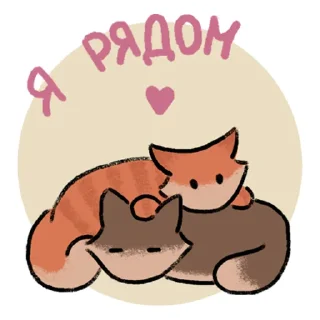 Стикер котюнчики @aariigaa - 2