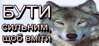 Sticker Вовчанка - 8