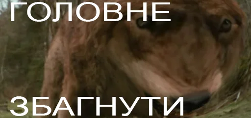 Sticker vovchanka_234 - 1