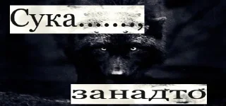 Sticker Вовчанка - 1