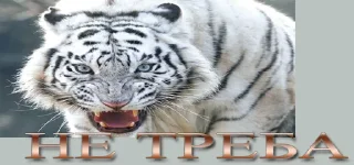 Sticker Вовчанка - 5