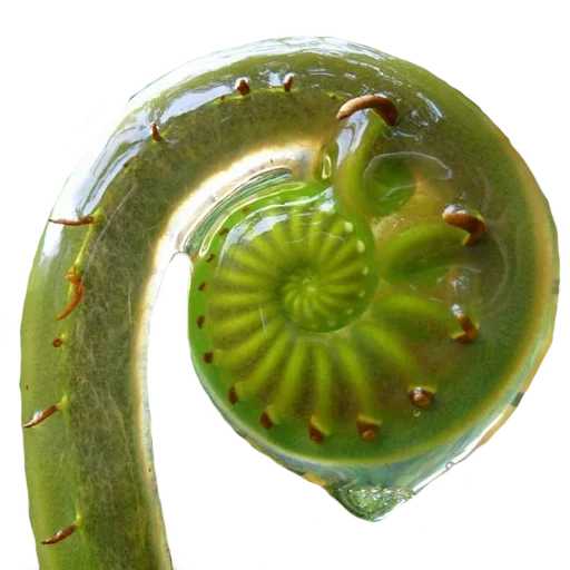 Стикер стики вохуса - 11