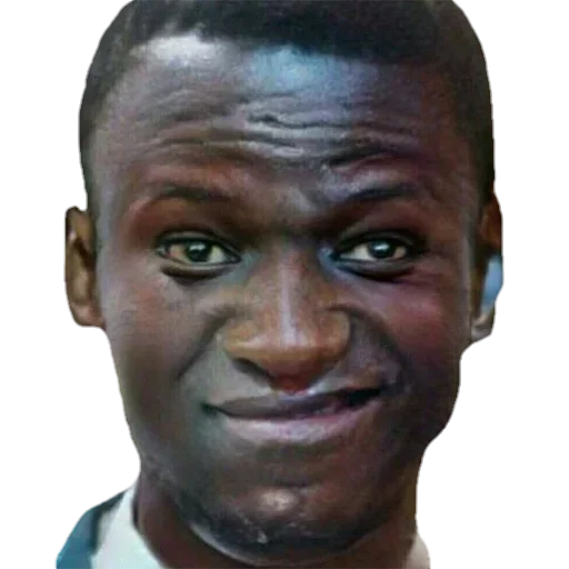 стики вохуса - 