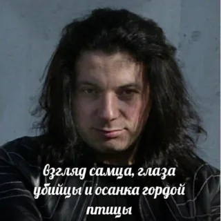 Стикер Для важных переговоров с Глебсоном 🌿 - 6