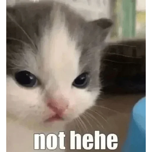 Стикер vpzCFKGwXadx_by_stickers_stealer_bot - 1