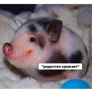 Sticker Больше стикеров 👉🏻 @stickertg4 - 7