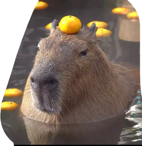 Sticker vseembobra - 1