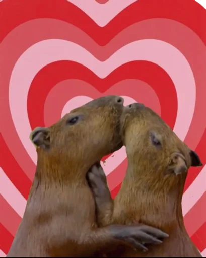 Sticker vseembobra - 1