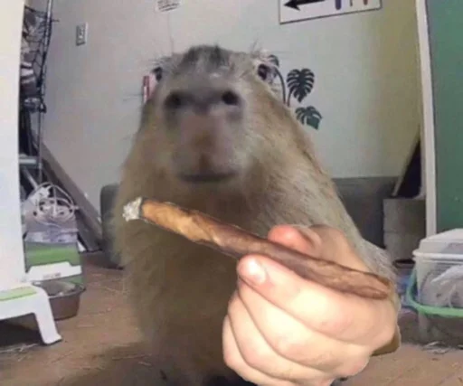 Sticker vseembobra - 1