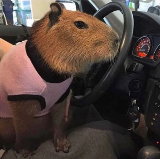 Sticker vseembobra - 1