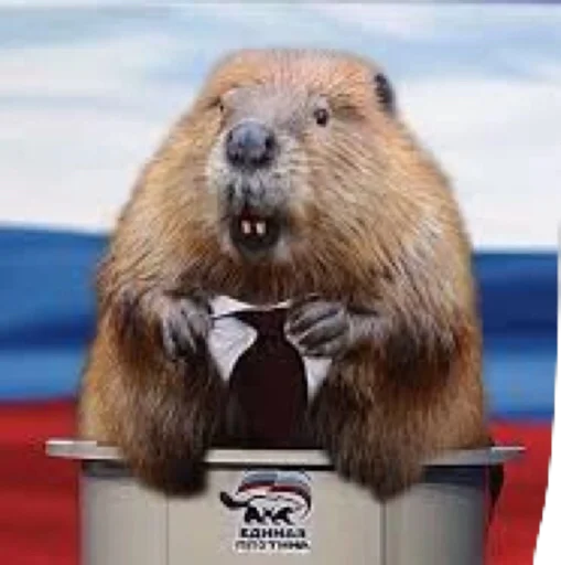 Sticker vseembobra - 1