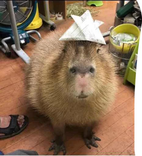 Sticker vseembobra - 1