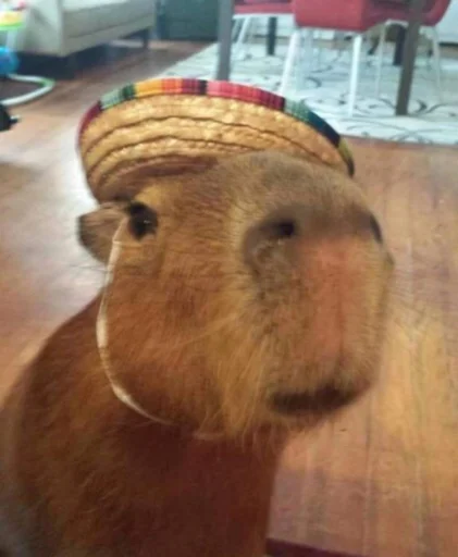 Sticker vseembobra - 1