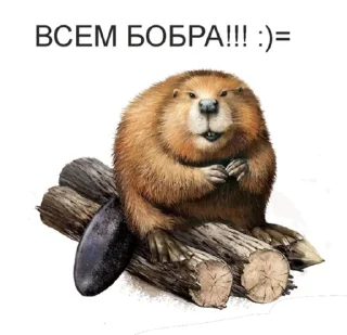 Sticker БОБРЫ - 7