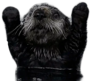 Sticker БОБРЫ - 3