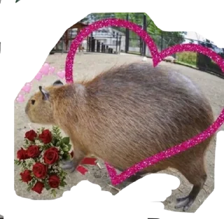 Sticker БОБРЫ - 4