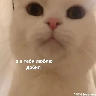 Стикер Вселенная котиков @anime4_arts - 11