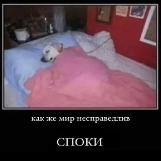 Стикер Вселенная котиков @anime4_arts - 0