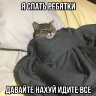 Стикер Вселенная котиков @anime4_arts - 1