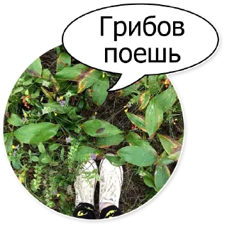 человеческое лицо лоб Человек